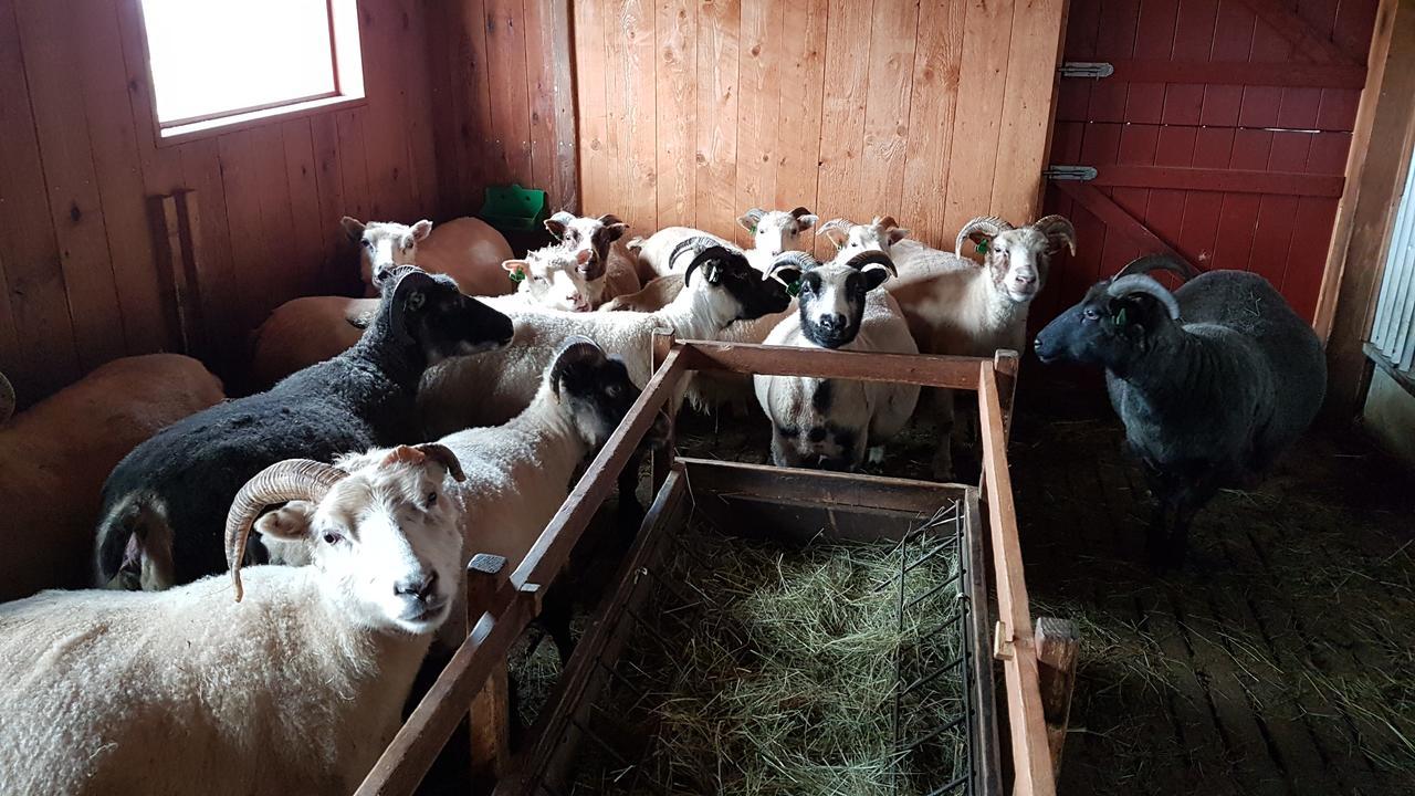 Klara'S Farm Holidays Hella Esterno foto