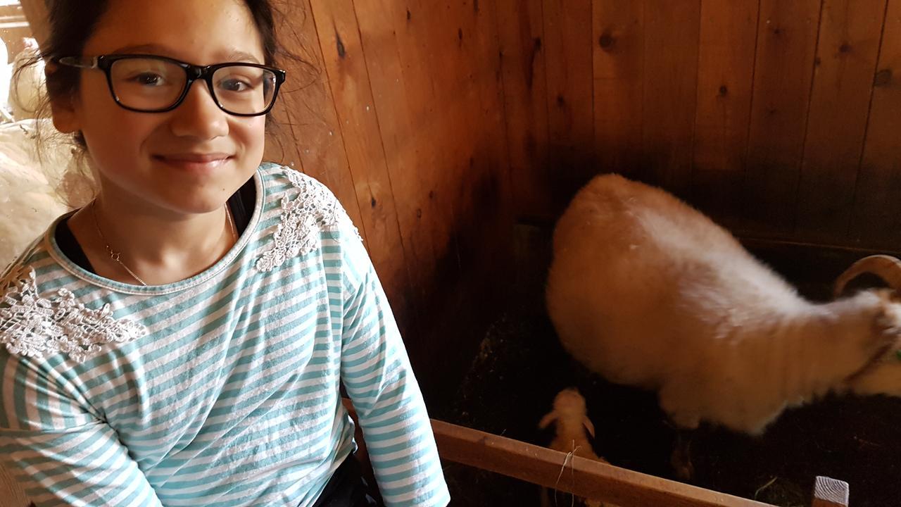 Klara'S Farm Holidays Hella Esterno foto